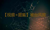 【视频+图集】被台风掀翻的货车得到救援，司机们回归平静生活 